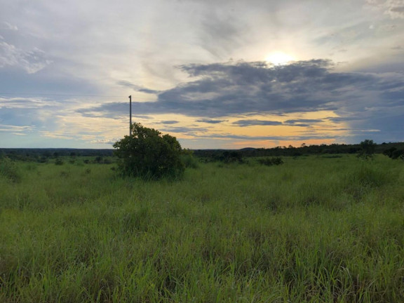 Imagem Fazenda à Venda,  em Rural - Figueirópolis