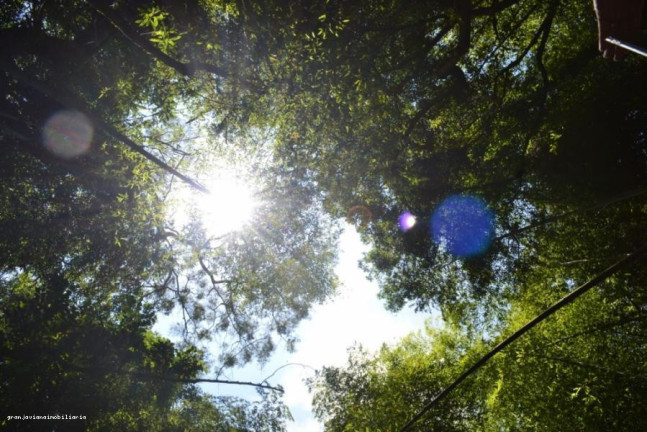 Imagem Terreno à Venda, 500.000 m² em Florada Raizes - Cotia Imagem Terreno à Venda, 500.000 m² em Florada Raizes - Cotia