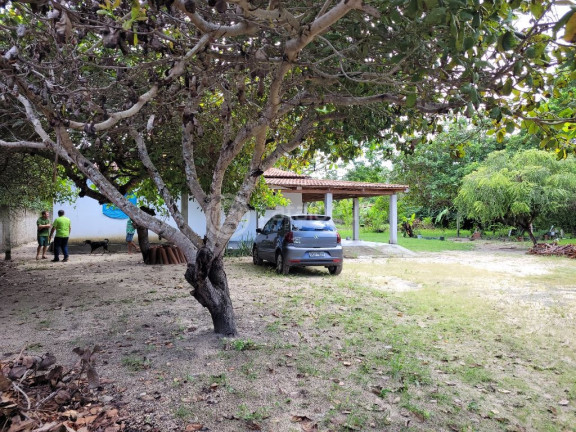 Imagem Fazenda à Venda, 2.000 m² em Lagoa Do Bonfim - Nísia Floresta Imagem Fazenda à Venda, 2.000 m² em Lagoa Do Bonfim - Nísia Floresta