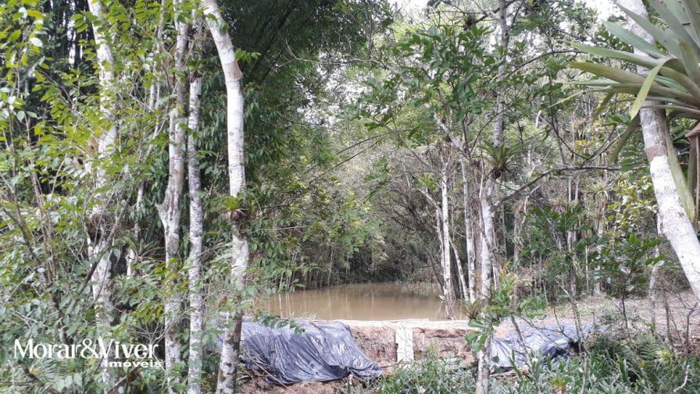 Imagem Chácara com 3 Quartos à Venda, 84.750 m² em Alexandra - Paranaguá Imagem Chácara com 3 Quartos à Venda, 84.750 m² em Alexandra - Paranaguá