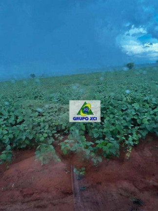 Imagem Fazenda à Venda, 3.388.000 m² em Zona Rural - Ponte Alta Do Tocantins Imagem Fazenda à Venda, 3.388.000 m² em Zona Rural - Ponte Alta Do Tocantins