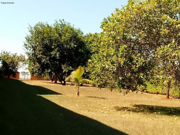 Imagem Imóvel com 4 Quartos à Venda, em Zona Rural - Rifaina Imagem Imóvel com 4 Quartos à Venda, em Zona Rural - Rifaina