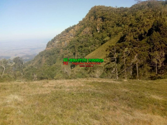 Imagem Chácara à Venda, 11 m² em Centro - Piquete Imagem Chácara à Venda, 11 m² em Centro - Piquete