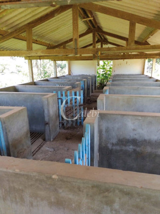 Imagem Chácara com 2 Quartos à Venda, 23 m² em Rural - Ouro Fino Imagem Chácara com 2 Quartos à Venda, 23 m² em Rural - Ouro Fino