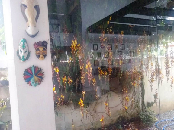 Imagem Casa com 3 Quartos à Venda, 184 m² em Bombas - Bombinhas Imagem Casa com 3 Quartos à Venda, 184 m² em Bombas - Bombinhas