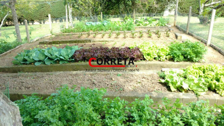 Imagem Chácara com 2 Quartos à Venda, 35 m² em Bairro Dias - Ibiúna Imagem Chácara com 2 Quartos à Venda, 35 m² em Bairro Dias - Ibiúna