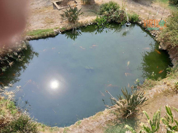 Imagem Fazenda à Venda, 25.800 m² em Caconde - Caconde