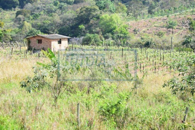 Imagem Imóvel com 5 Quartos à Venda, 900 m² em Santa Eliza - Itupeva Imagem Imóvel com 5 Quartos à Venda, 900 m² em Santa Eliza - Itupeva