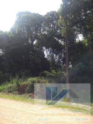 Imagem Terreno à Venda, 20.000 m² em Contenda - São José Dos Pinhais