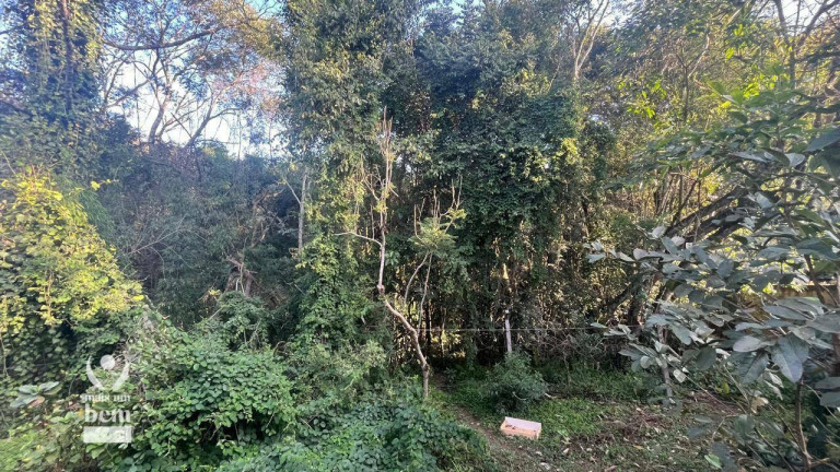 Imagem Terreno à Venda, 228 m² em Conjunto Habitacional Monsenhor Francisco Gorski - Campo Largo Imagem Terreno à Venda, 228 m² em Conjunto Habitacional Monsenhor Francisco Gorski - Campo Largo