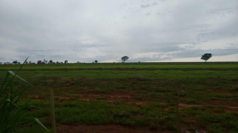 Chácara à Venda, 8 m² em Rural - Arandu