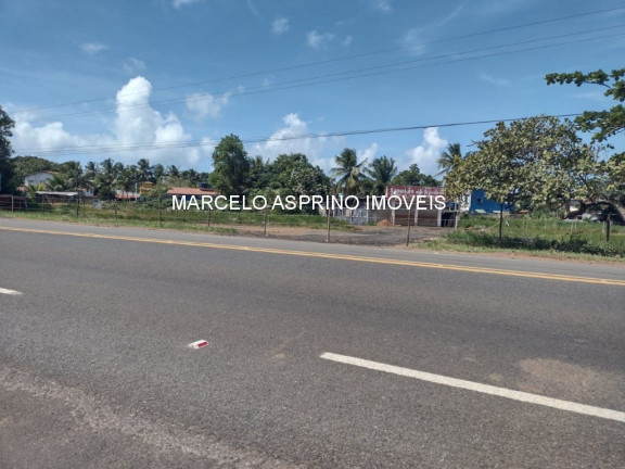 Imagem Imóvel à Venda, 1.000 m² em Sargi - Uruçuca Imagem Imóvel à Venda, 1.000 m² em Sargi - Uruçuca