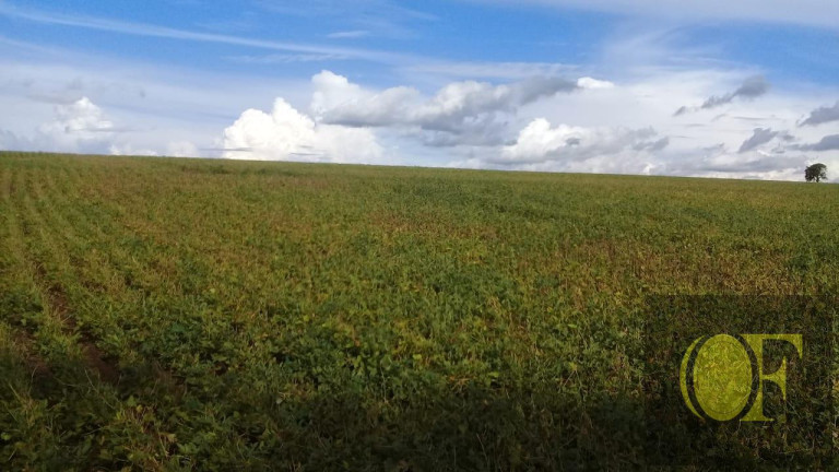 Imagem Fazenda à Venda, 75 m² em Rural - Paranapanema Imagem Fazenda à Venda, 75 m² em Rural - Paranapanema
