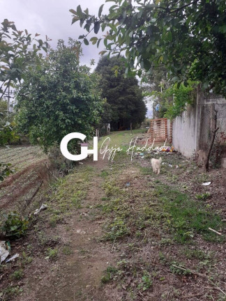 Imagem Chácara com 3 Quartos à Venda, 5 m² em Piedade