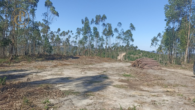 Imagem Fazenda à Venda, 300 m² em Centro - Salesópolis Imagem Fazenda à Venda, 300 m² em Centro - Salesópolis