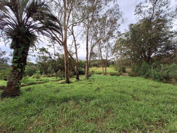 Imagem Chácara com 2 Quartos à Venda, 12.000 m² em Santo Onofre - Viamão