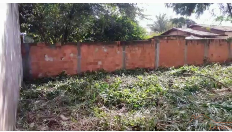 Imagem Terreno à Venda, 360 m² em Major Prates - Montes Claros