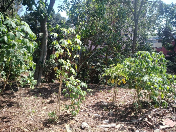 Imagem Terreno à Venda, 1.078 m² em Centro - Poá Imagem Terreno à Venda, 1.078 m² em Centro - Poá