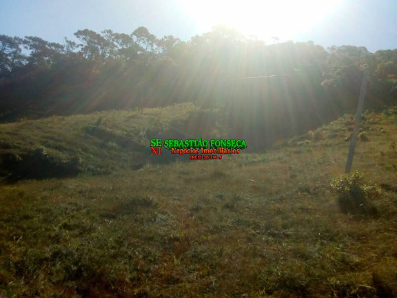 Imagem Chácara à Venda, 11 m² em Centro - Piquete Imagem Chácara à Venda, 11 m² em Centro - Piquete