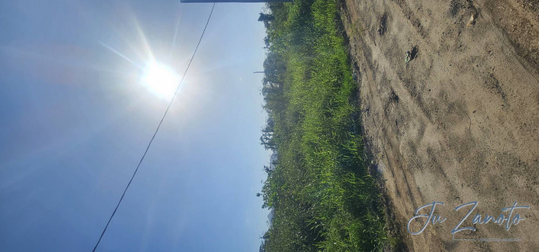Imagem Terreno à Venda, 450 m² em Balneário Praia Grande - Matinhos Imagem Terreno à Venda, 450 m² em Balneário Praia Grande - Matinhos