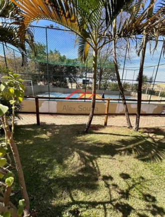 Imagem Apartamento com 2 Quartos à Venda, 49 m² em Jardim Santa Terezinha (nova Veneza) - Sumaré Imagem Apartamento com 2 Quartos à Venda, 49 m² em Jardim Santa Terezinha (nova Veneza) - Sumaré