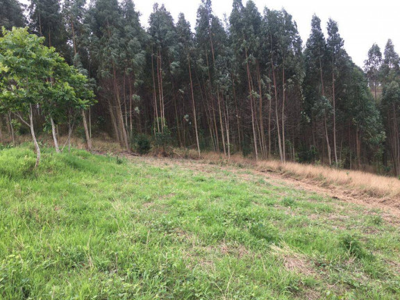 Imagem Chácara à Venda, 24.200 m² em Piedade Imagem Chácara à Venda, 24.200 m² em Piedade