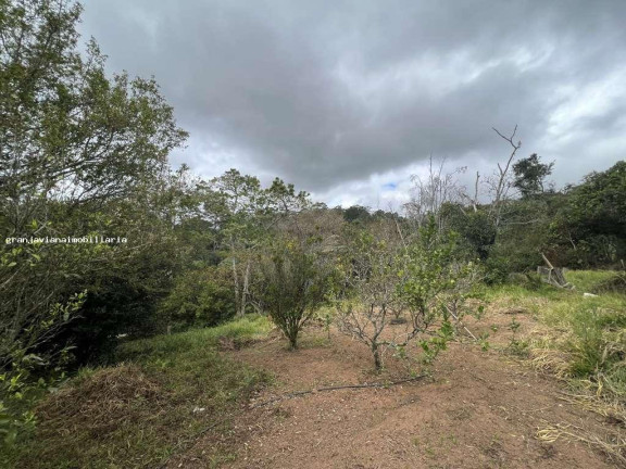 Imagem Imóvel à Venda, em Taboleiro Verde - Cotia Imagem Imóvel à Venda, em Taboleiro Verde - Cotia
