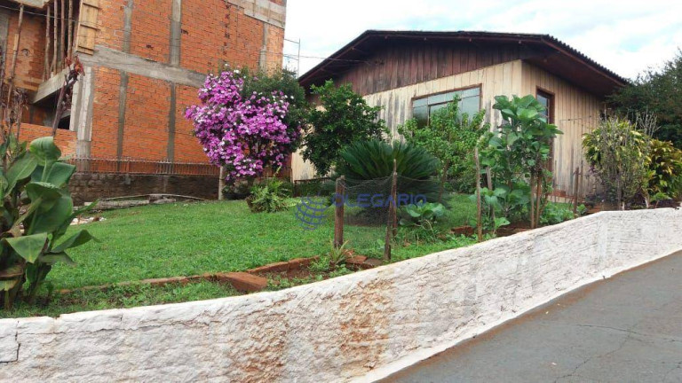 Imagem Casa com 4 Quartos à Venda, 180 m² em Centro - Toledo Imagem Casa com 4 Quartos à Venda, 180 m² em Centro - Toledo