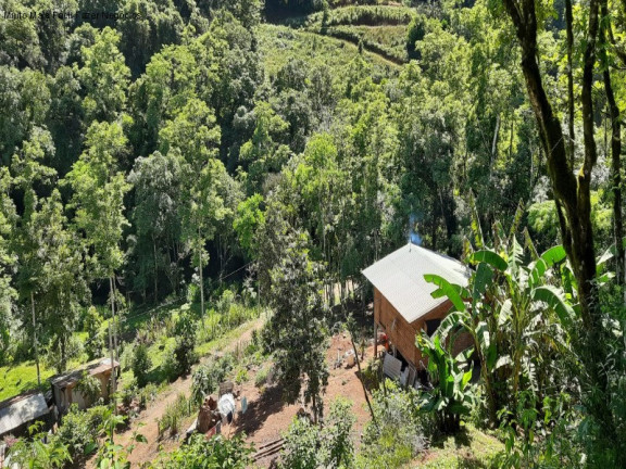 Imagem Imóvel com 2 Quartos à Venda, 70 m² em Linha Pirajá Baixa - Nova Petrópolis Imagem Imóvel com 2 Quartos à Venda, 70 m² em Linha Pirajá Baixa - Nova Petrópolis