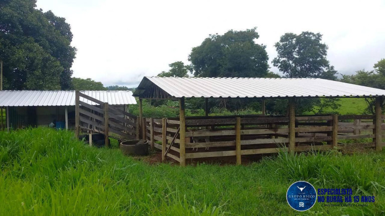 Imagem Chácara à Venda, 1 m² em Zona Rural - Itaberaí Imagem Chácara à Venda, 1 m² em Zona Rural - Itaberaí
