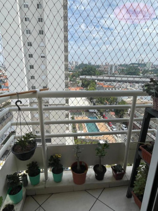 Imagem Apartamento com 3 Quartos à Venda, 63 m² em Casa Branca - Santo André