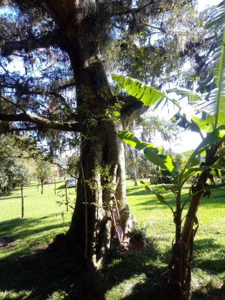 Imagem Casa com 2 Quartos à Venda, 8.000 m² em Itapuã - Viamão Imagem Casa com 2 Quartos à Venda, 8.000 m² em Itapuã - Viamão