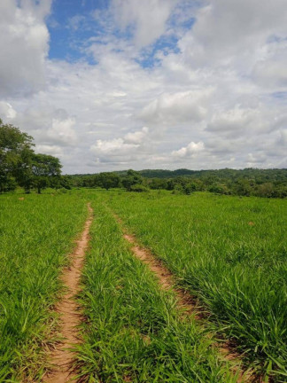 Imagem Fazenda à Venda, 37 m² em Zona Rural - Sanclerlândia Imagem Fazenda à Venda, 37 m² em Zona Rural - Sanclerlândia