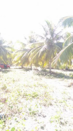 Imagem Terreno à Venda, 2 m² em São Cristóvão - Salvador