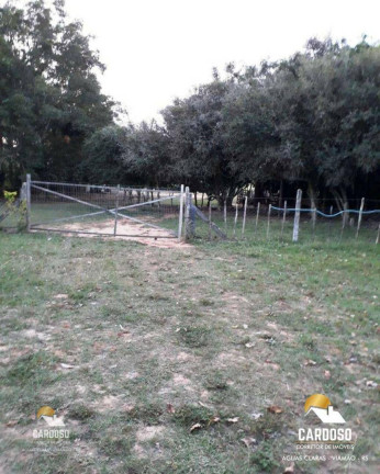 Imagem Fazenda à Venda, 20.000 m² em águas Claras - Viamão Imagem Fazenda à Venda, 20.000 m² em águas Claras - Viamão