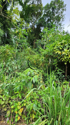 Imagem Imóvel à Venda, 7.870 m² em Chácaras Do Guacuri - Itupeva