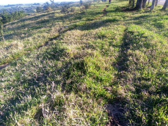 Imagem Chácara à Venda, 4 m² em Rural - Angatuba Imagem Chácara à Venda, 4 m² em Rural - Angatuba