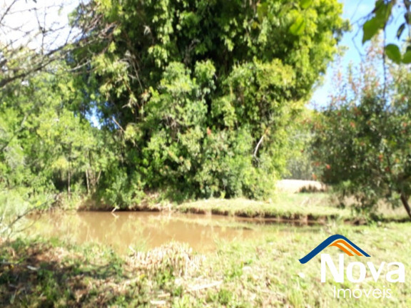 Imagem Imóvel à Venda, 95 m² em Linha Araripe - Nova Petrópolis Imagem Imóvel à Venda, 95 m² em Linha Araripe - Nova Petrópolis