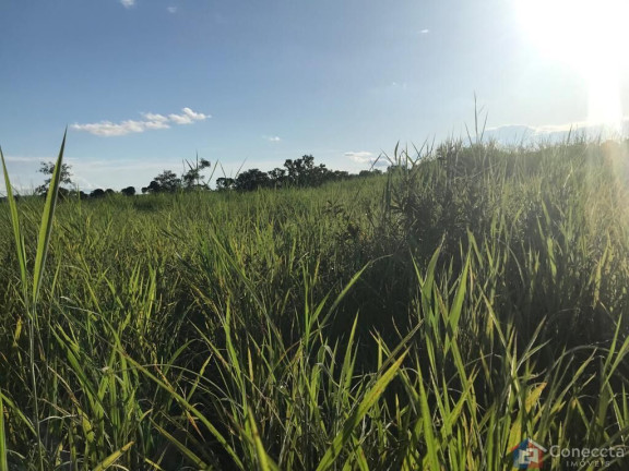 Imagem Imóvel à Venda, 535.000 m² em Centro - Gurinhatã Imagem Imóvel à Venda, 535.000 m² em Centro - Gurinhatã