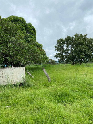 Imagem Fazenda à Venda, 54 m² em Zona Rural - Torixoréu Imagem Fazenda à Venda, 54 m² em Zona Rural - Torixoréu