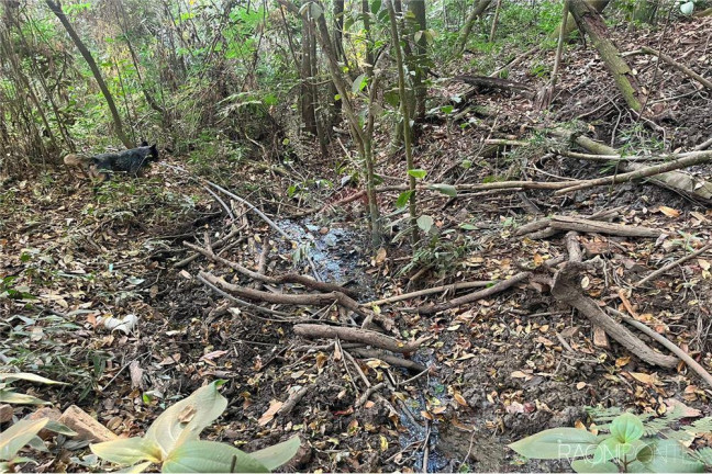 Imagem Fazenda à Venda, 710.000 m² em Perdizes - Perdizes