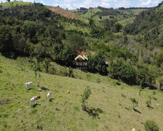 Imagem Imóvel com 3 Quartos à Venda, 55 m² em Brasilândia - Carmópolis De Minas Imagem Imóvel com 3 Quartos à Venda, 55 m² em Brasilândia - Carmópolis De Minas