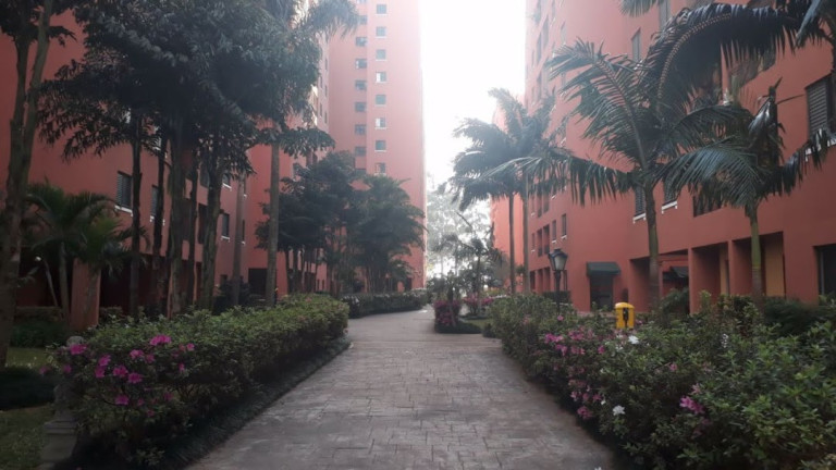 Imagem Apartamento com 3 Quartos à Venda, 59 m² em Vila Do Castelo - São Paulo