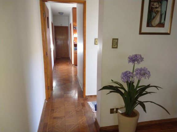 Imagem Casa com 3 Quartos à Venda, 335 m² em Saúde - São Paulo Imagem Casa com 3 Quartos à Venda, 335 m² em Saúde - São Paulo