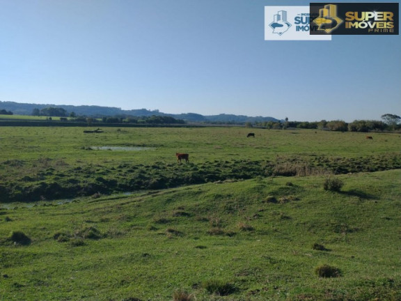 Imagem Imóvel com 1 Quarto à Venda, 4.090.000 m² em Centro - Cristal