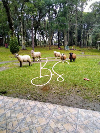 Imagem Imóvel com 2 Quartos à Venda, 30.000 m² em Centro - Gramado Imagem Imóvel com 2 Quartos à Venda, 30.000 m² em Centro - Gramado