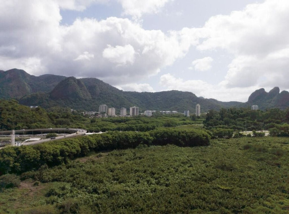 Imagem Apartamento com 3 Quartos à Venda, 95 m² em Barra Da Tijuca - Rio De Janeiro Imagem Apartamento com 3 Quartos à Venda, 95 m² em Barra Da Tijuca - Rio De Janeiro