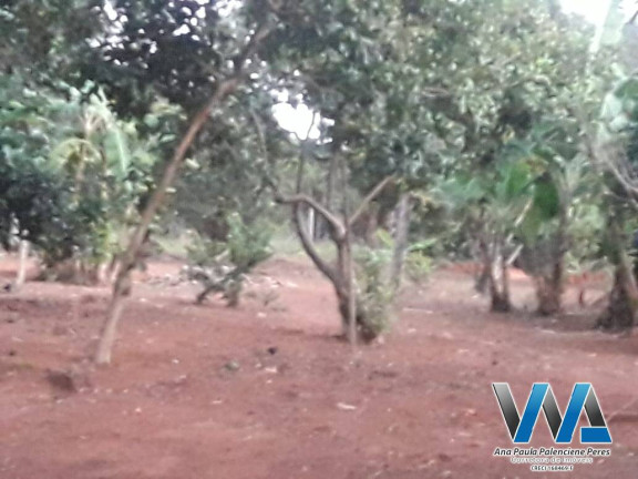 Imagem Chácara com 3 Quartos à Venda, 350 m² em Biriça Do Campinho - Bragança Paulista Imagem Chácara com 3 Quartos à Venda, 350 m² em Biriça Do Campinho - Bragança Paulista