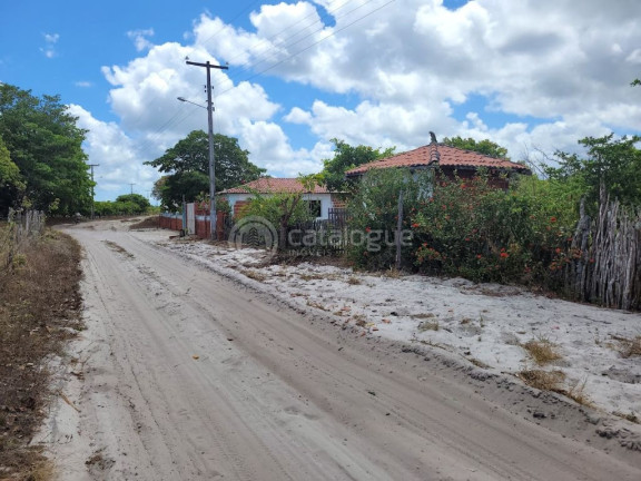 Imagem Fazenda à Venda, 60.000 m² em Córrego Do Moreira - Beberibe Imagem Fazenda à Venda, 60.000 m² em Córrego Do Moreira - Beberibe