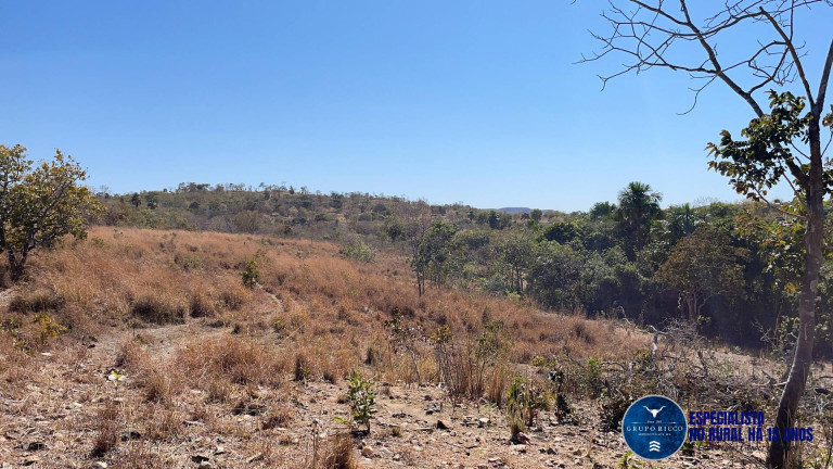 Imagem Chácara à Venda, 15 m² em Zona Rural - Faina Imagem Chácara à Venda, 15 m² em Zona Rural - Faina